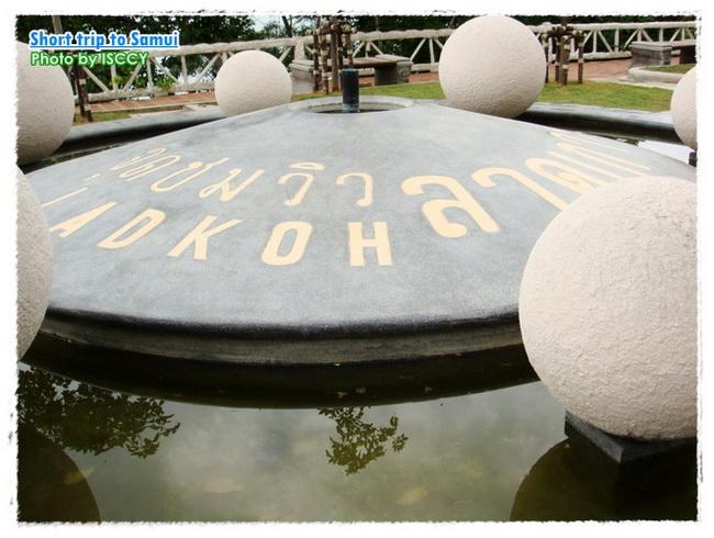 NST_USM54.JPG